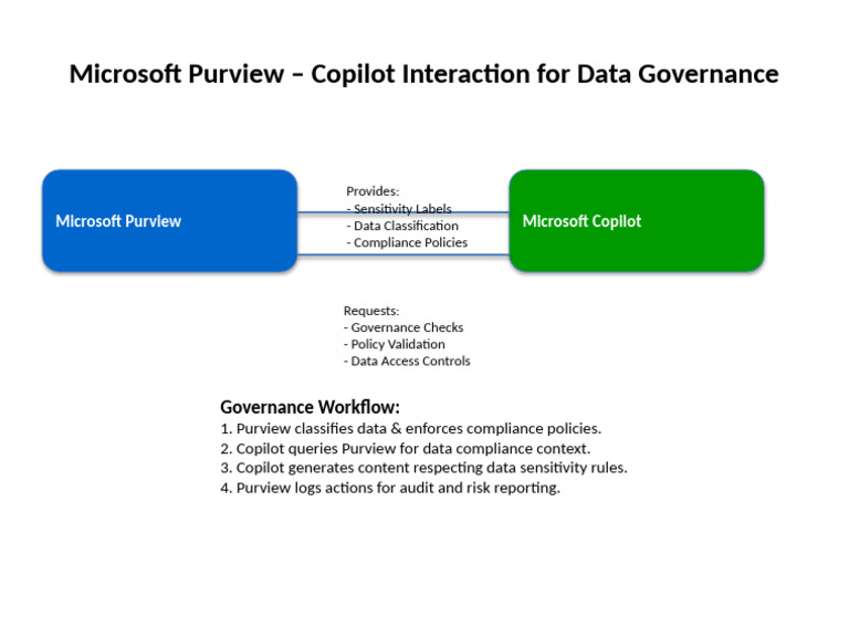 Microsoft Purview Copilot for Data Governance | PDF