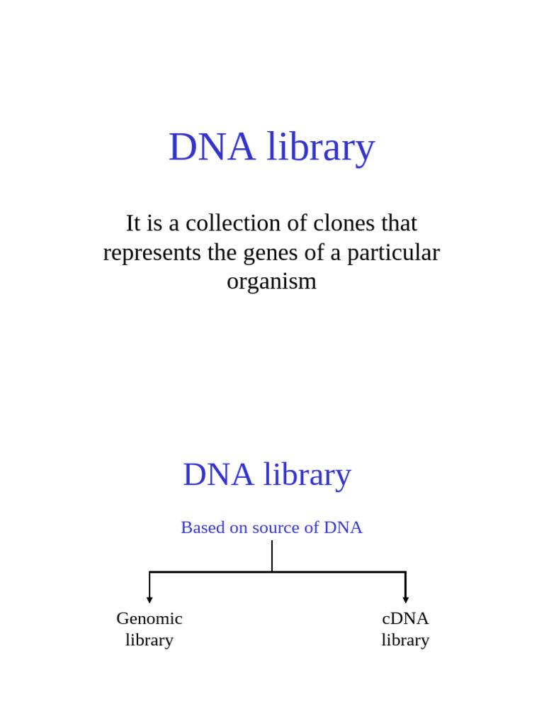 DNA Libraries and PCR Techniques Explained | PDF | Polymerase Chain ...