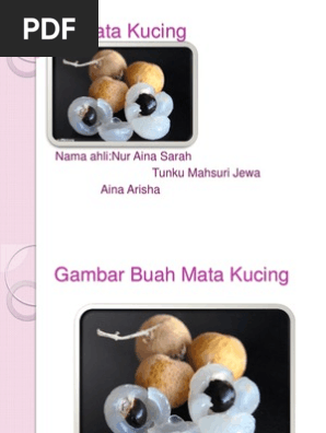 Buah Mata Kucing Pdf