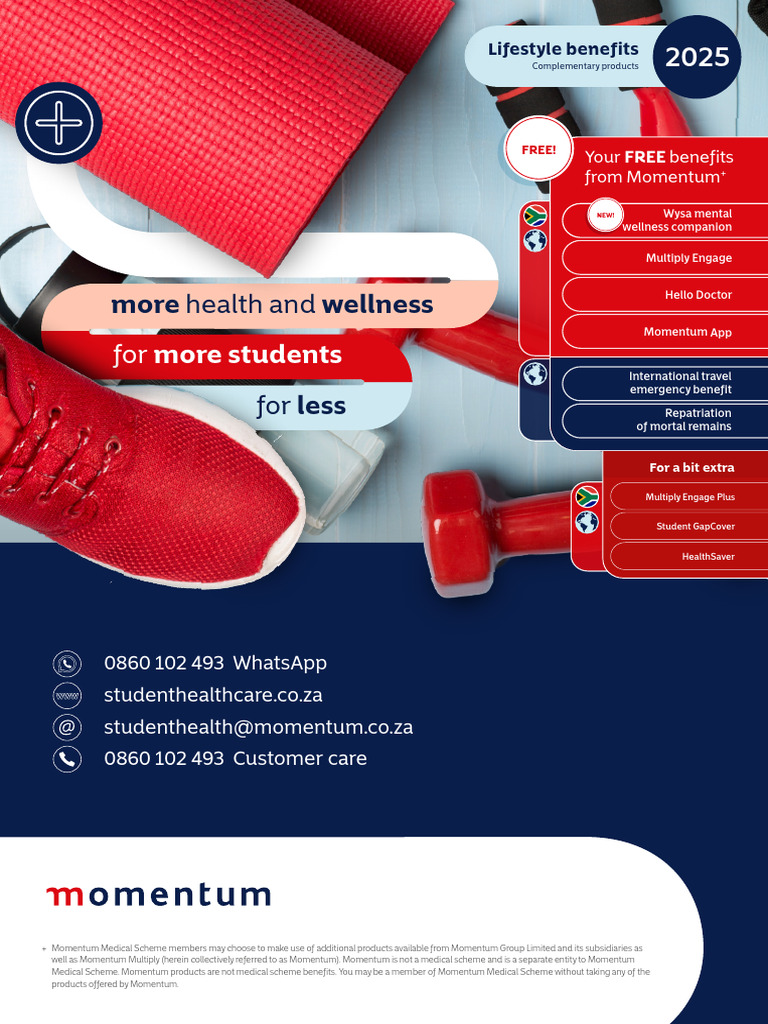 Momentum Ingwe Brochure 2025 | PDF | Health Care | Medicine