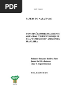 Artigo Do Reinaldo - Papers Do NAEA n. 286