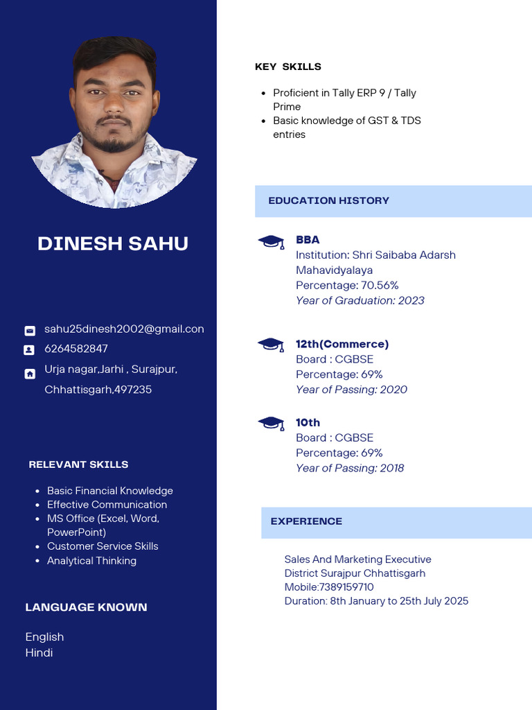 Flight Attendant CV in Dark Blue Light Blue White Colour Blocks Style ...