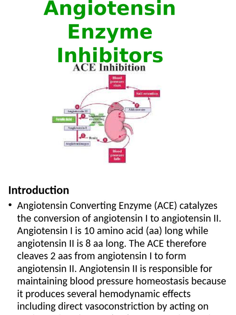 Angiotensin Converting Enzyme Inhibitors Notes Jan 2018 | PDF | Angiotensin