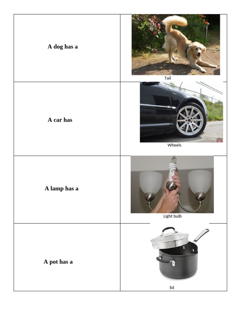 Object Features and Components Guide | PDF