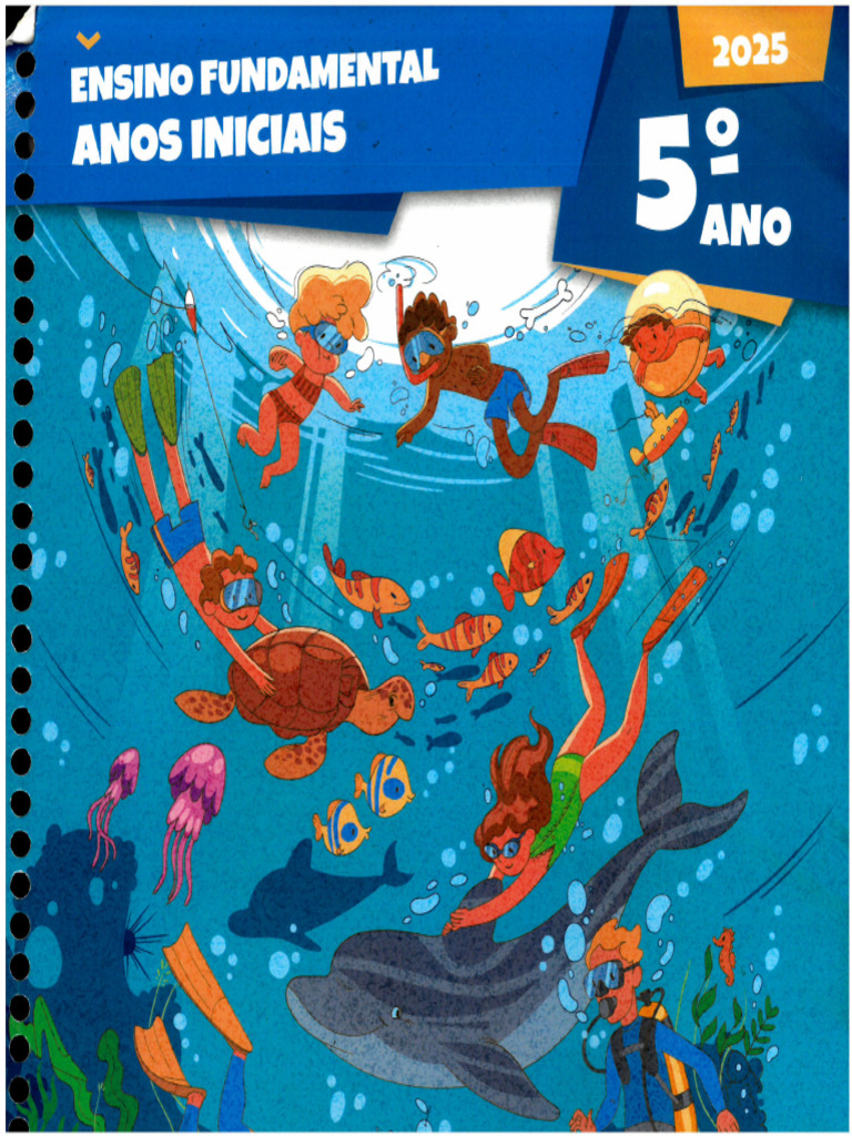 E.F Anos Iniciais - Etapa | PDF