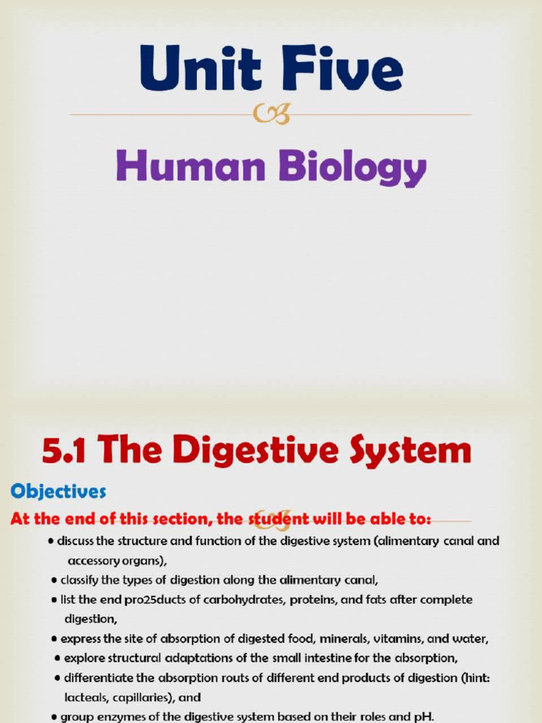 Unit 5 & 6 Notes | PDF