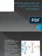 Características Generales de La Estructura de Los Anticuerpos