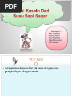 Download Isolasi Kasein Dari Susu Sapi Segar by Liyana Nurhayati SN90915785 doc pdf