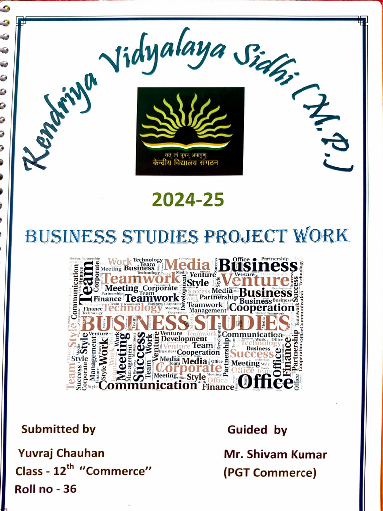 Business Studies Project Overview | PDF