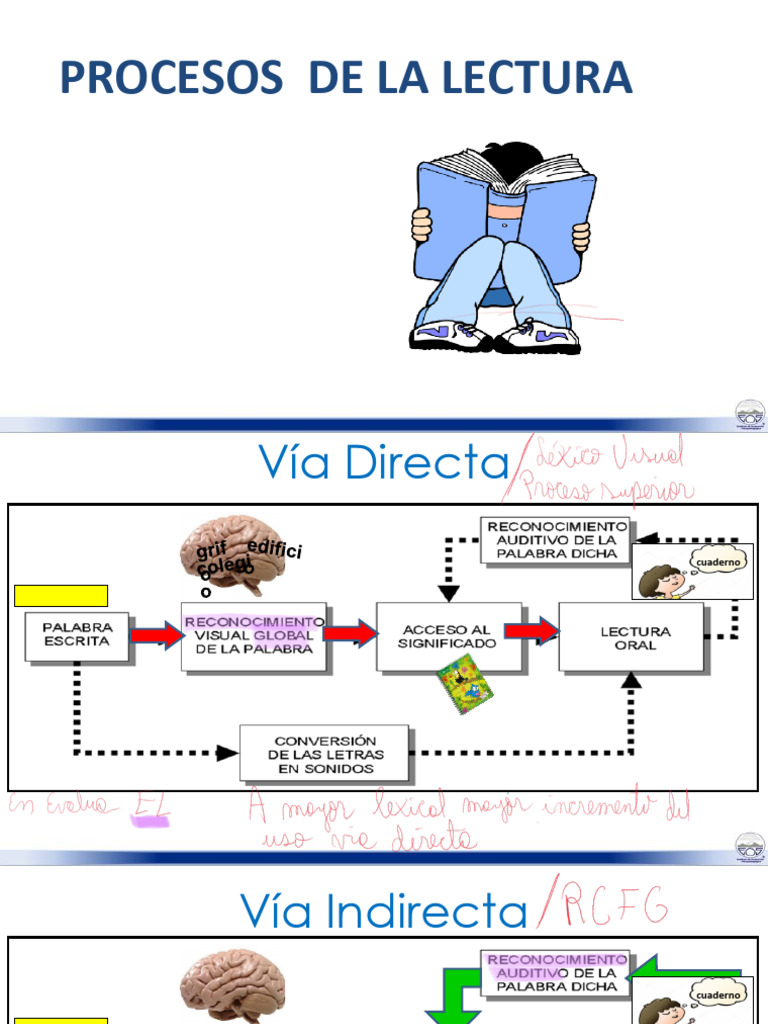 Procesos de Lectura y Escritura Efectiva | PDF | Matemáticas | Algoritmos