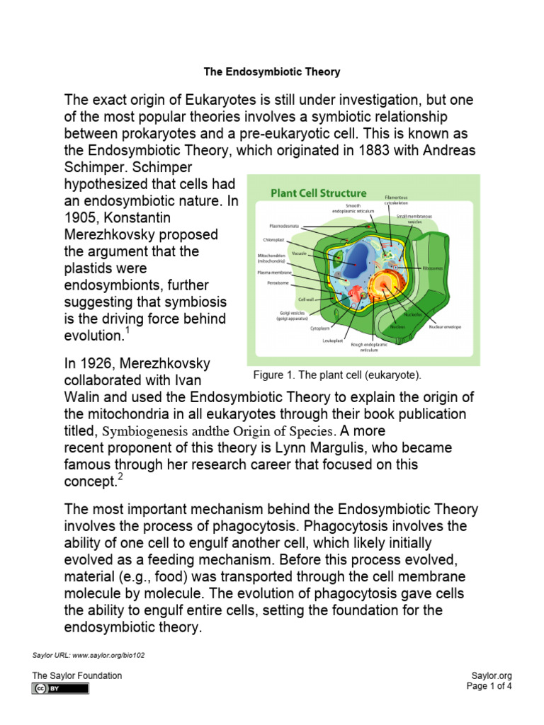 6.1.2 The Endosymbiotic Theory | PDF | Life Sciences | Genetics