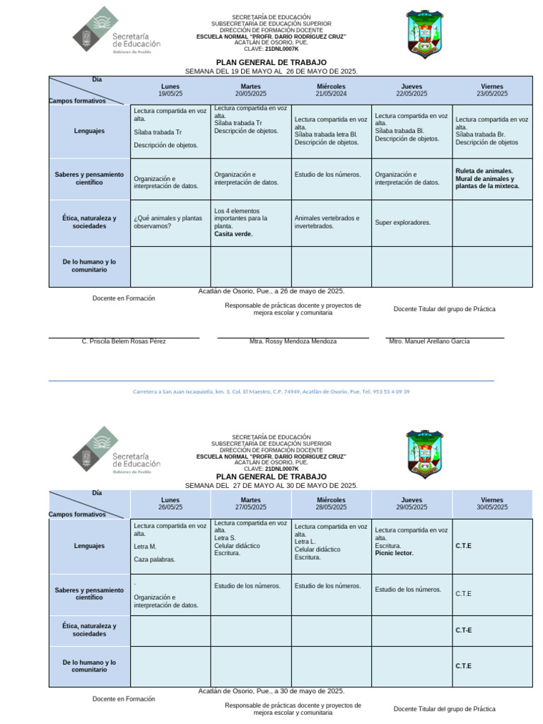 Plan de Trabajo Docente: Mayo 2025 | PDF | Aprendizaje