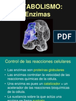 ENZIMAS