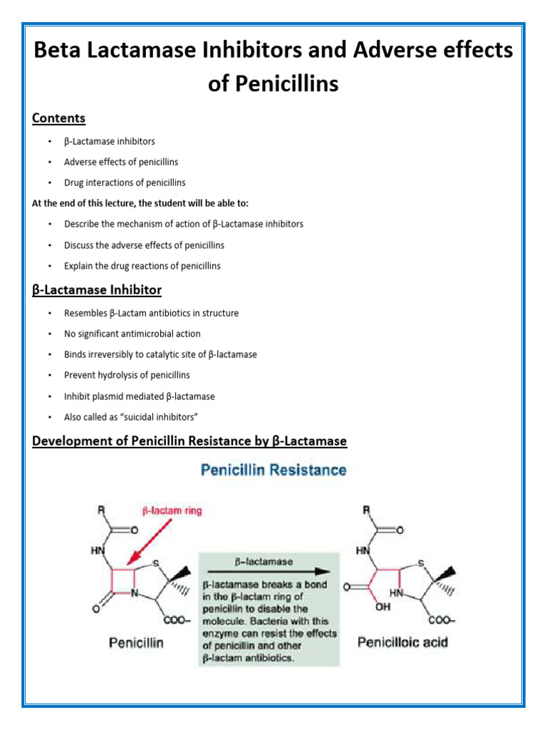 Beta Lactamase Inhibitors & Penicillin Effects | PDF | Beta Lactamase ...