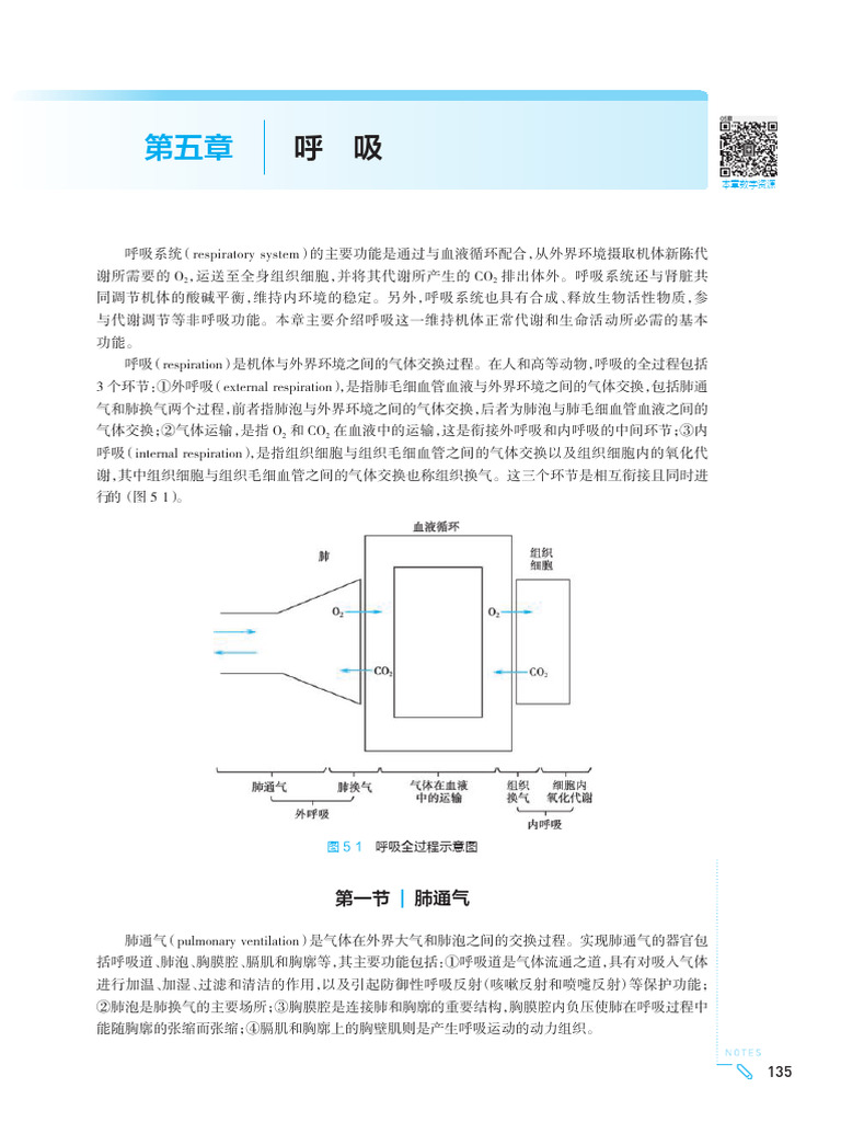 05 呼吸| PDF, image size:768x1024