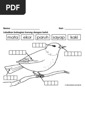 Lembaran Kerja Tema Burung Prasekolah / Lembaran mewarna kreativiti dan