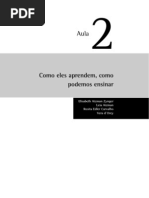 Como Eles Aprendem, Como Podemos Ensinar