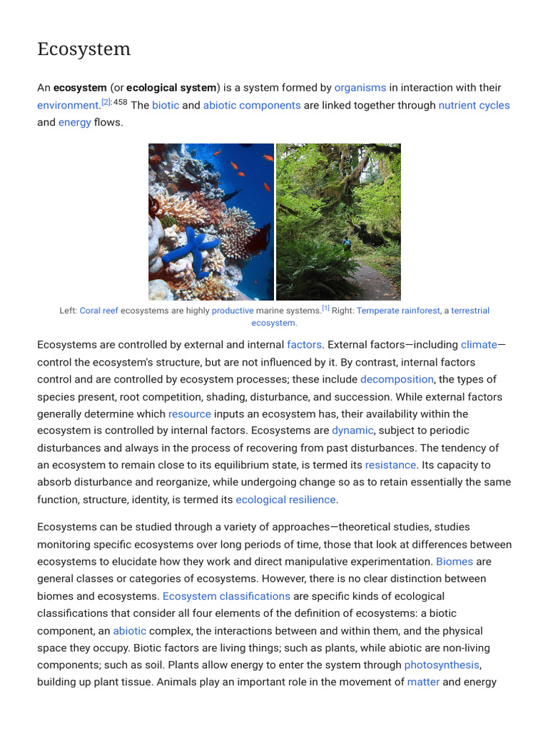 Understanding Ecosystems and Their Dynamics | PDF | Ecosystem | Primary ...
