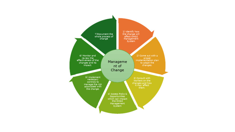 OH&S Management Change Process Guide | PDF