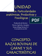 02 - Razas Bovinas