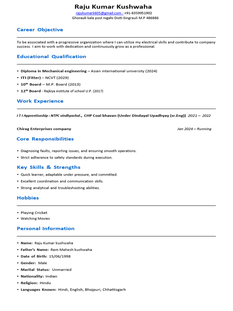 Raju's CV | PDF