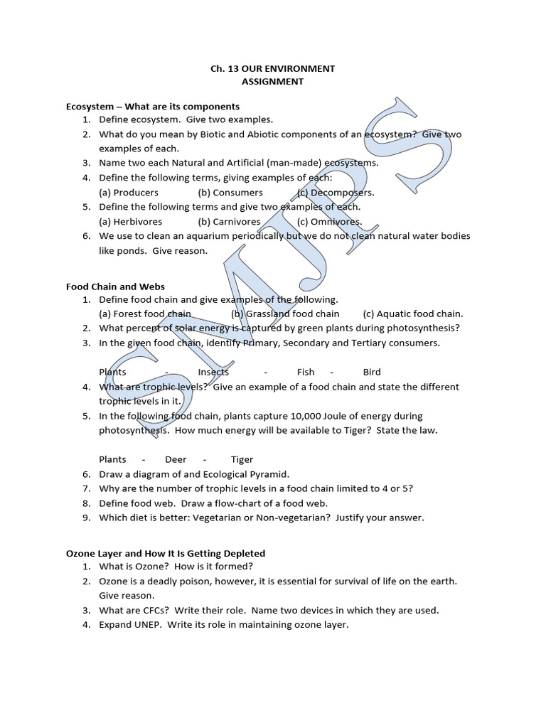 Our Environment Assignment | PDF | Food Web | Ecosystem