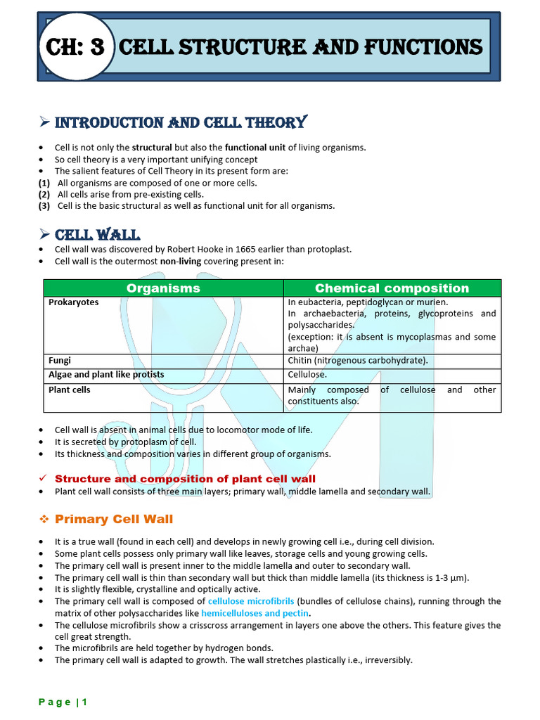 3. cell structure and function | PDF | Endoplasmic Reticulum | Cell ...