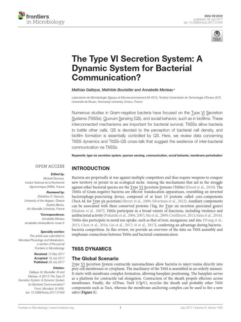 Type VI Secretion System in Bacteria | PDF | Secretion | Cell Signaling