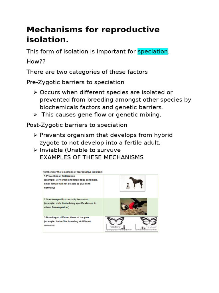 Human Evolution Part 2 | PDF