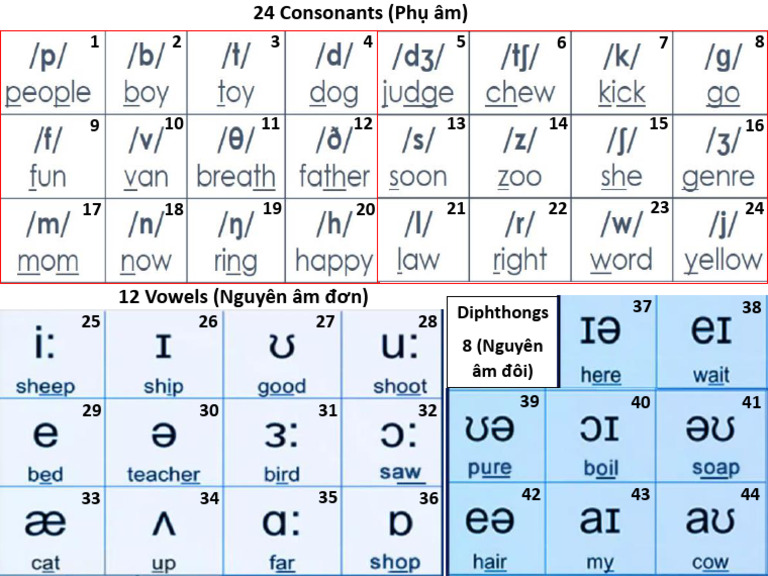 IPA | PDF