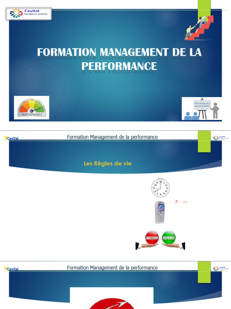 Formation en Management de la Performance | PDF | Lean (production ...