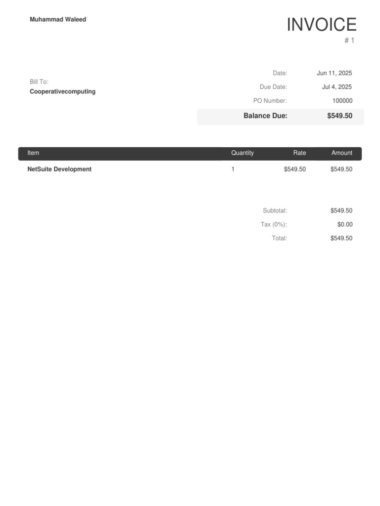 Invoice for NetSuite Development | PDF