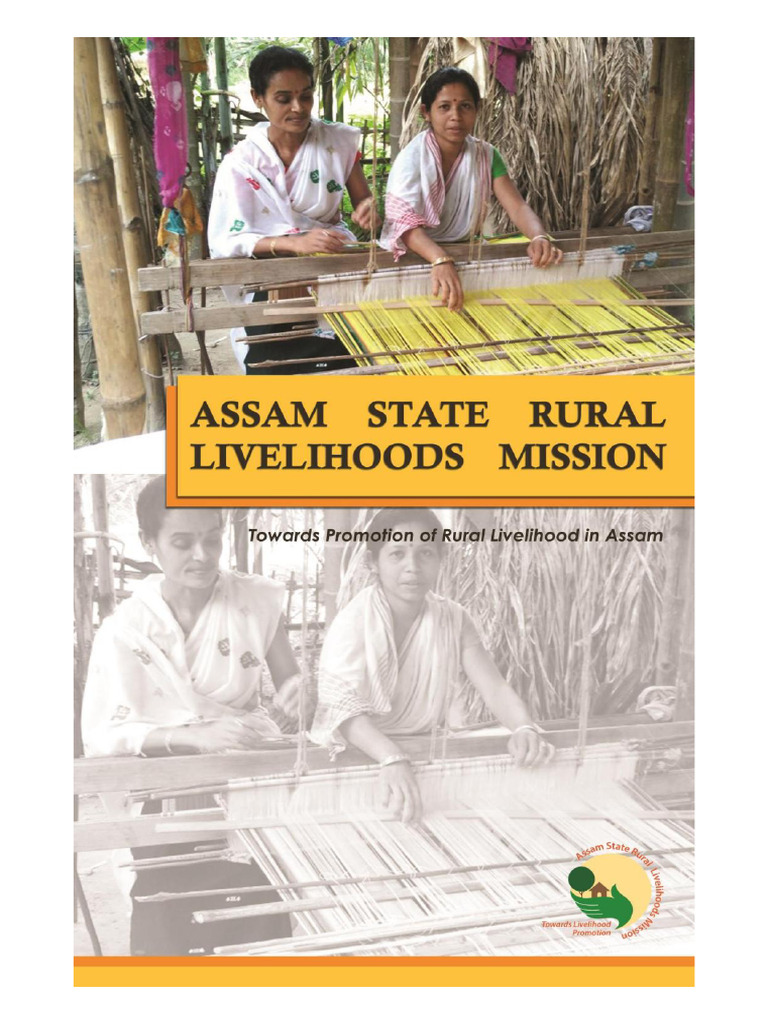 Asrlm Brochure English | PDF