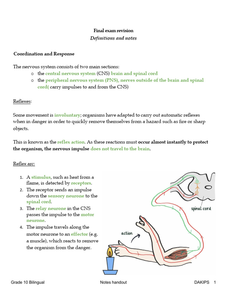 Final Exam Revision Definitions and Notes | PDF | Sexual Reproduction ...