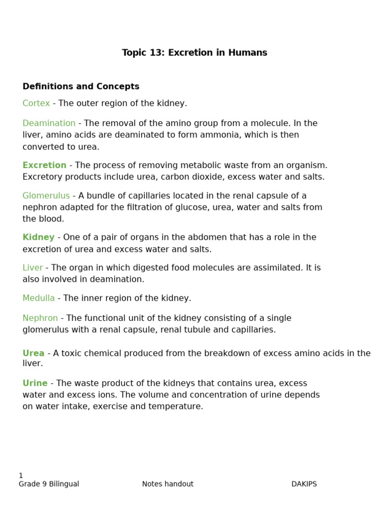Definitions, Notes, Topic 13 - Excretion in Humans | PDF | Kidney | Urea