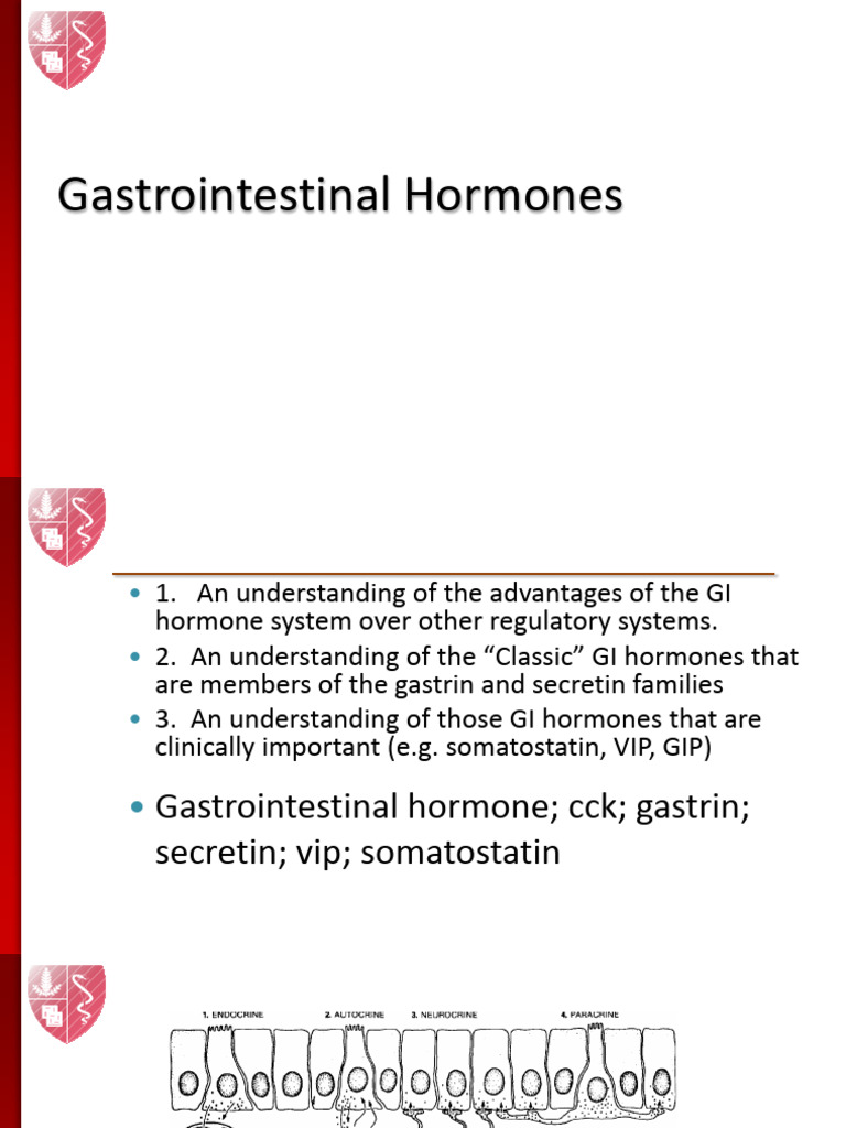 Overview of Gastrointestinal Hormones | PDF | Pancreas | Digestive System
