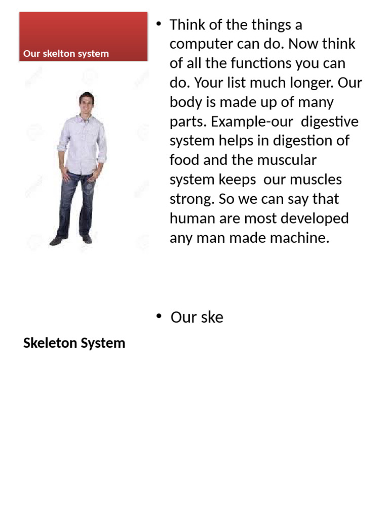 Our Skelton System | PDF