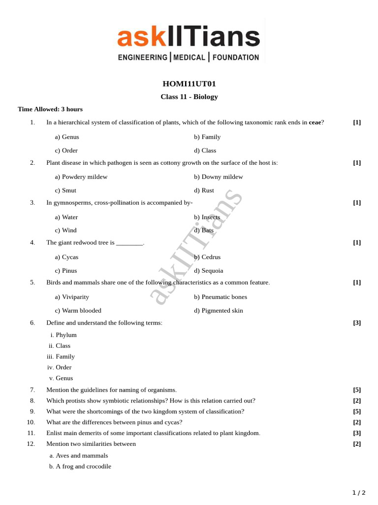 Unit Test - 11 Grade (Medi) | PDF | Velocity | Acceleration