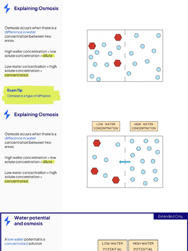 Osmosis, Experiments, and Eg in Plants and Animals GCSE | PDF