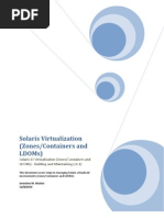 Oracle Solaris Virtualization