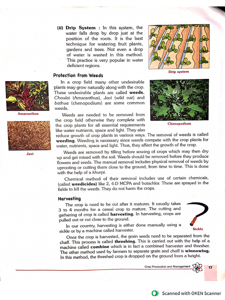 Class 8 - 9 | PDF