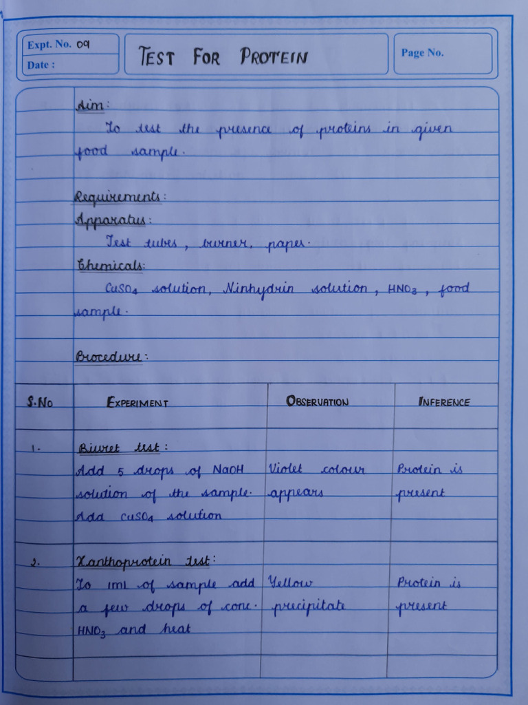 Protein Testing Experiment Notes | PDF