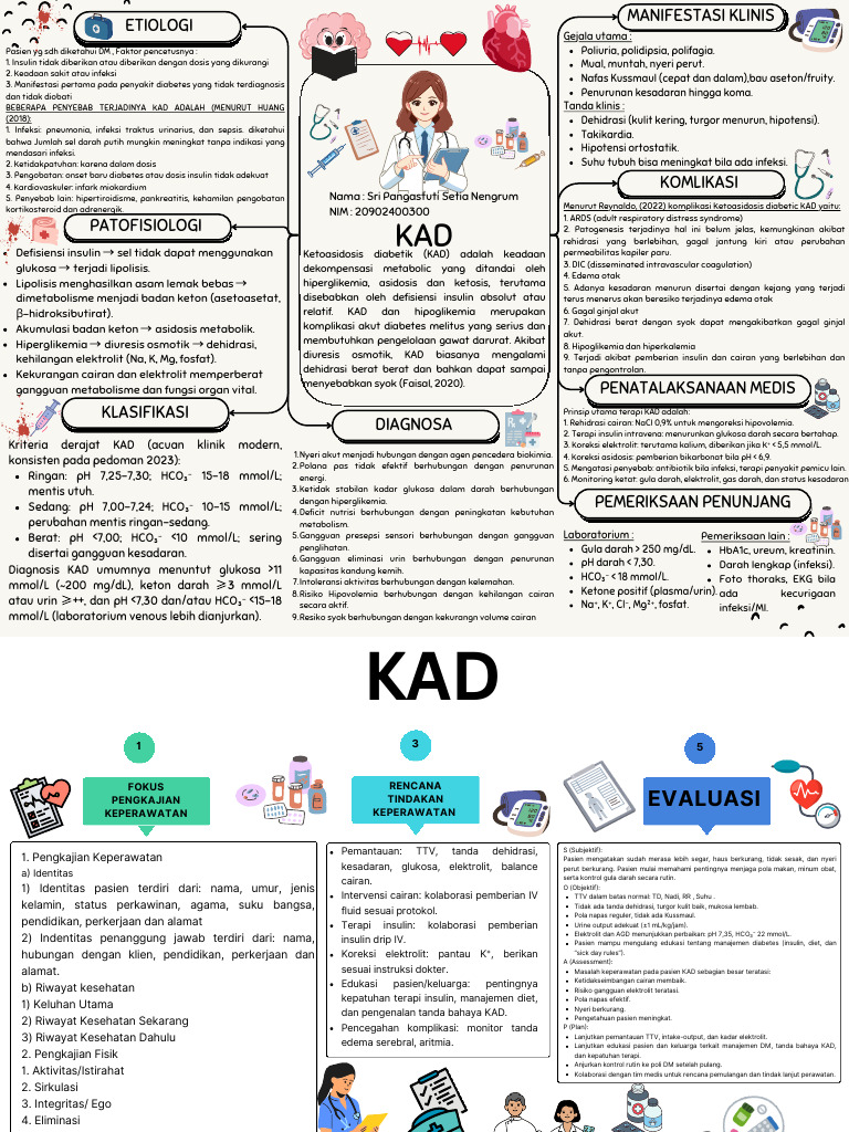 Panduan Klasifikasi dan Penanganan KAD | PDF