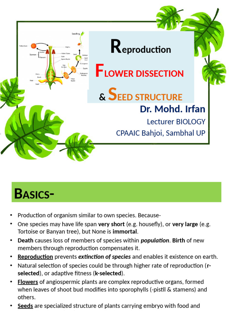 Flower Dissection and Seed Structure Guide | PDF | Flowers | Seed