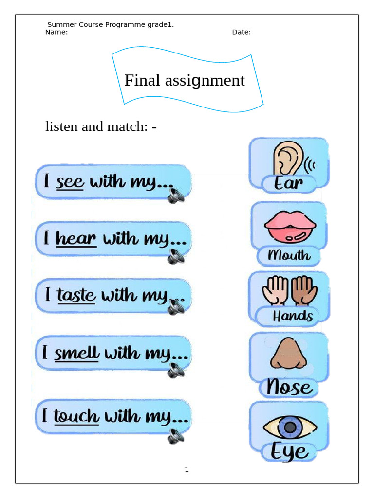 Grade 1 Assignment | PDF