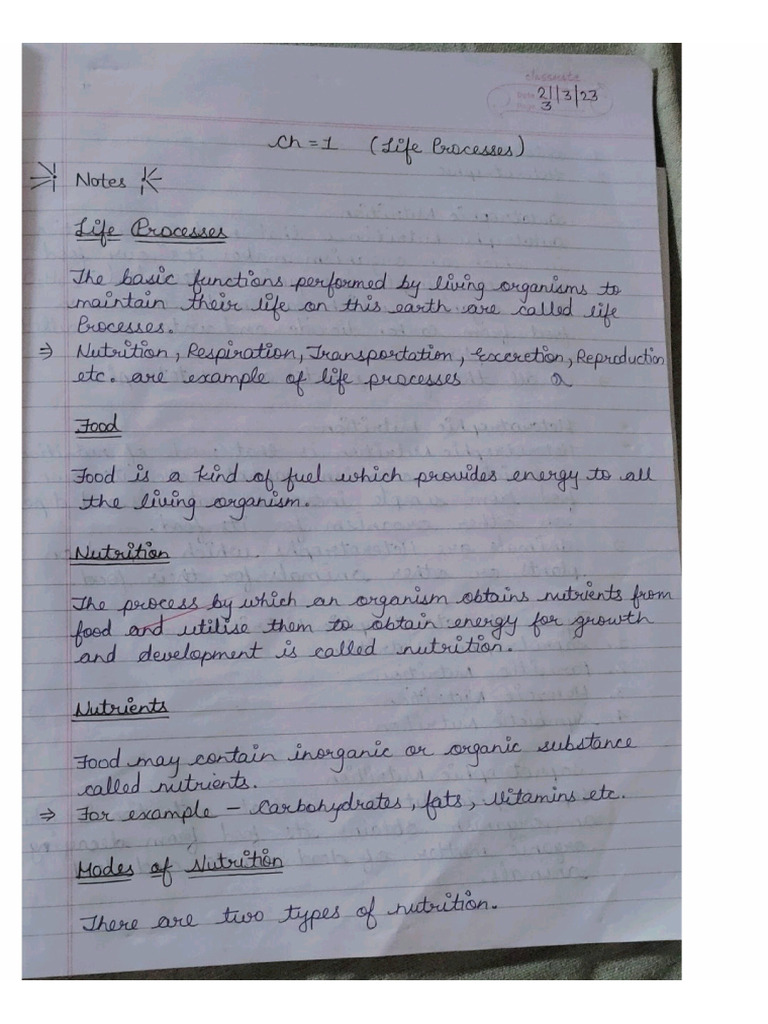 Science Bio Notes Life Process | PDF