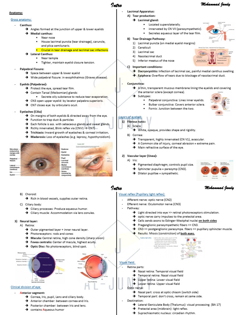 1 - Ophthalmology intro | PDF | Visual System | Retina