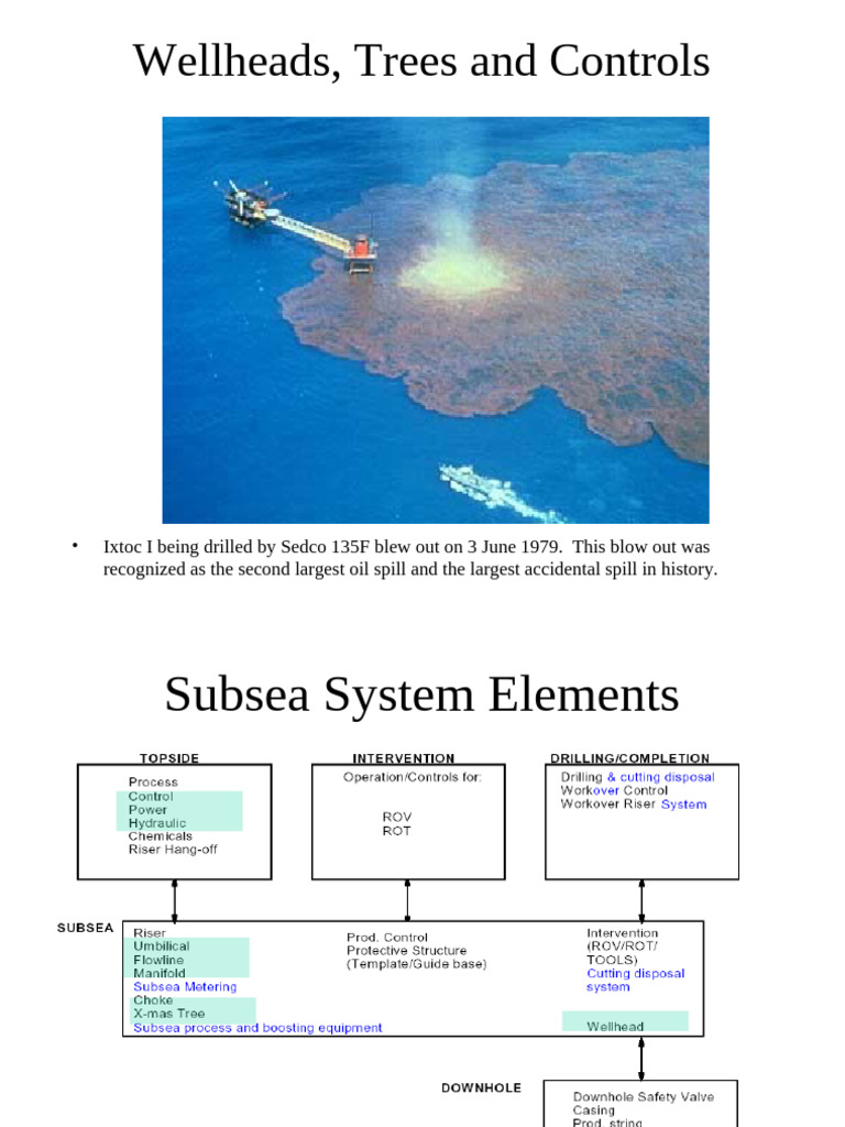 Subsea Wellheads and Casing Trees Overview | PDF | Casing (Borehole)