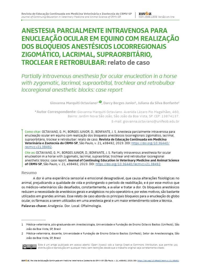 Denise,+anestesia+parcialmente FINAL | PDF | Anestesia | Potencial de ação