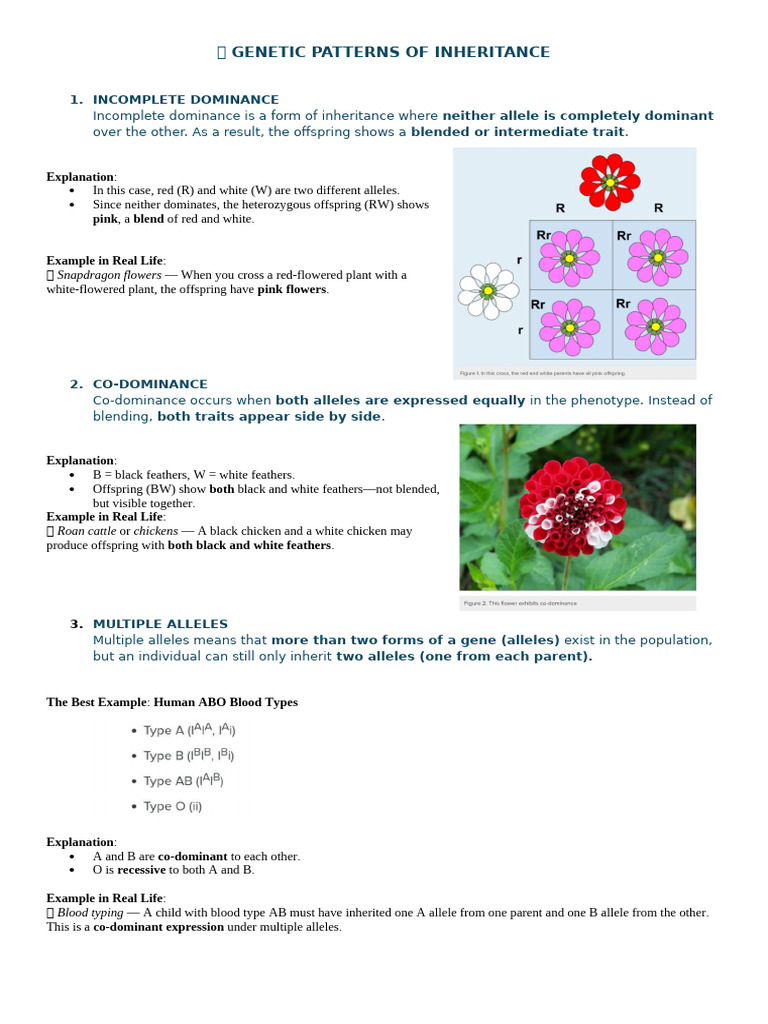 Genetic Inheritance Patterns Explained | PDF